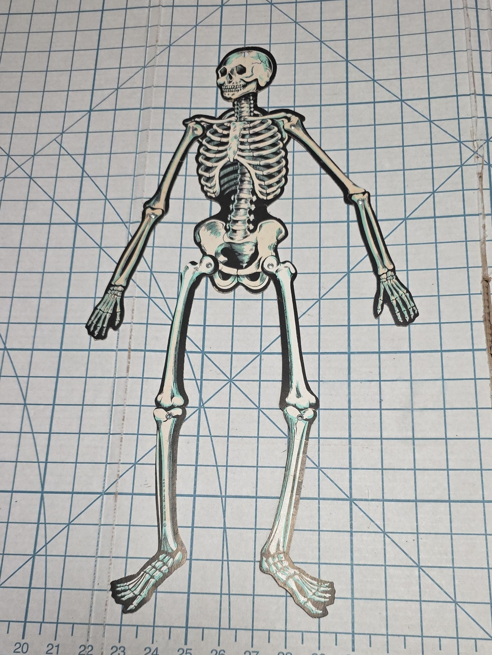 Skeleton Jointed Die Cut, Beistle, VTG 21.7" X 6.5" , One-sided